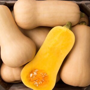 Organic Butternut Squash